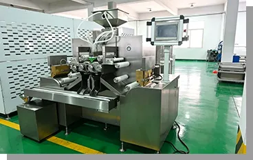Wenzhou Realtech International Trade Co., Ltd.